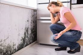 Best Mold Odor Removal Services  in Kearney Park, MS